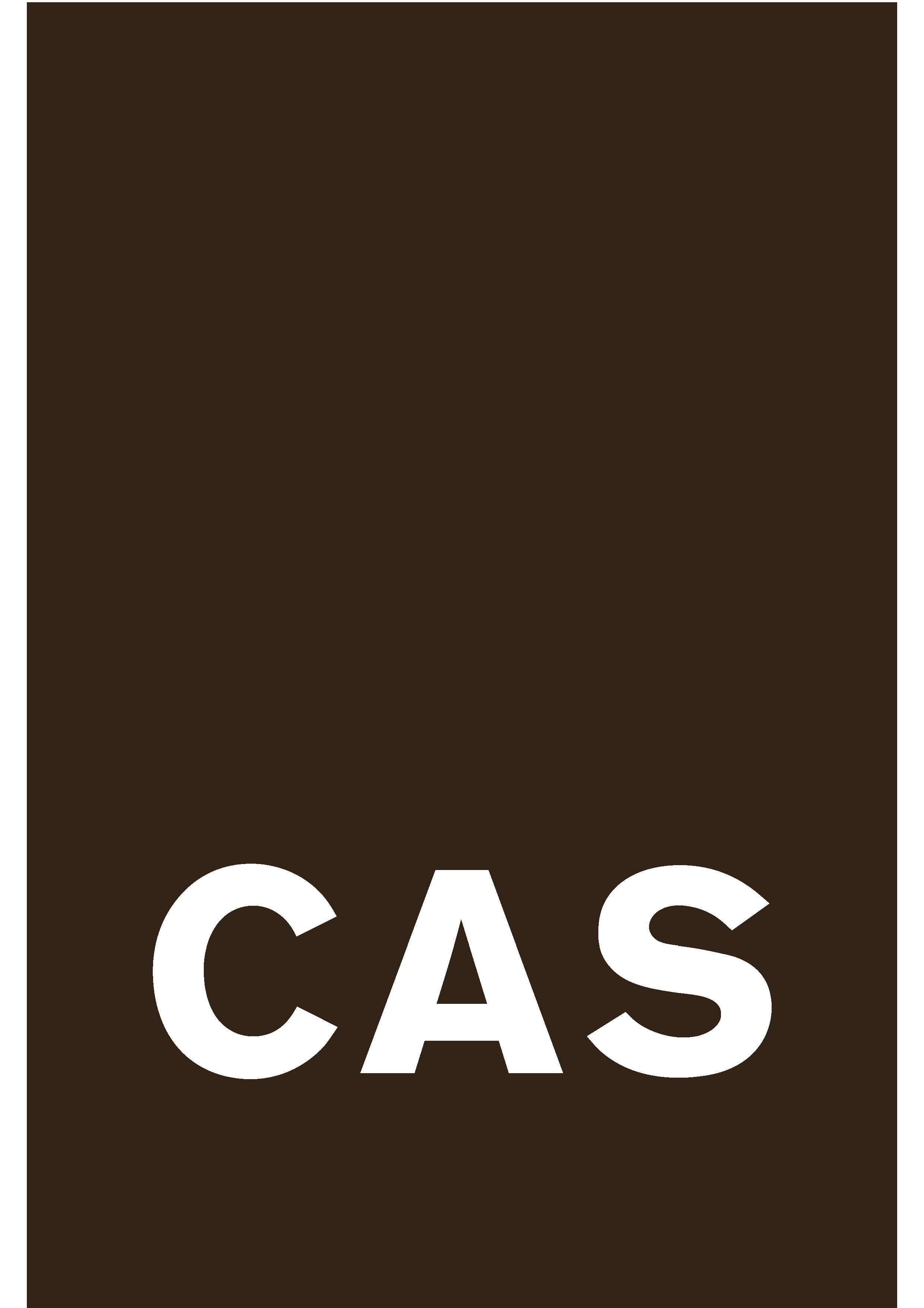 CAS Gruppe AG